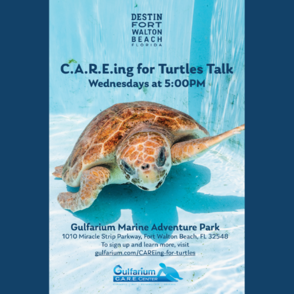 a poster for a marine park featuring a turtle.