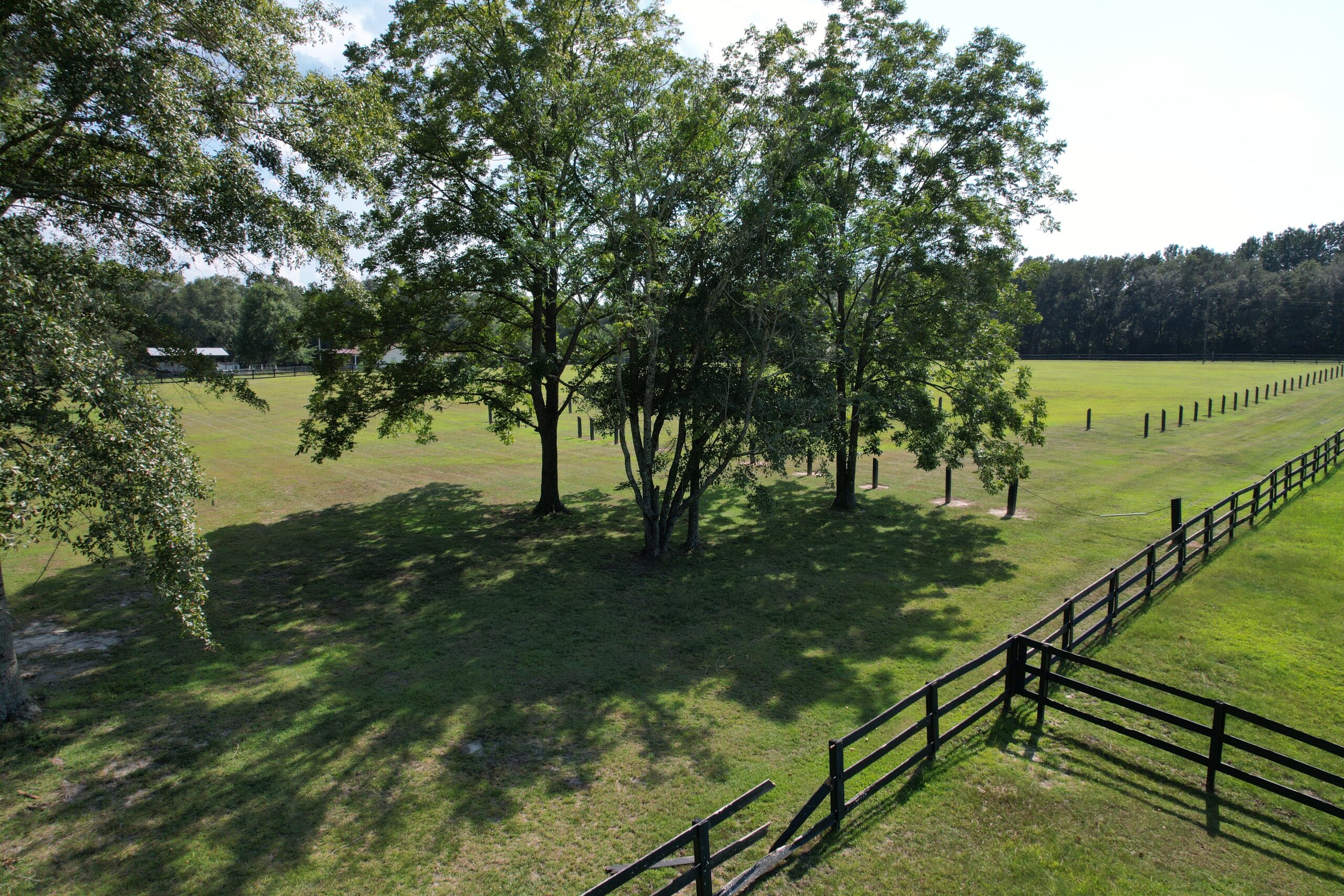 park with trees