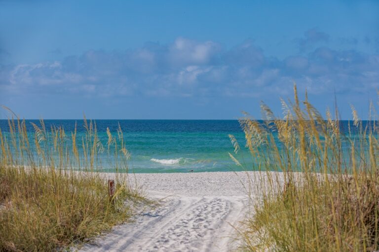 A sandy path leads through tall grasses to a beach with turquoise water and a clear blue sky.