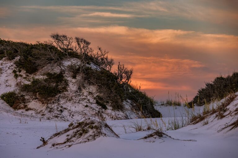 Sand dunes with sparse vegetation under a vibrant sunset sky.