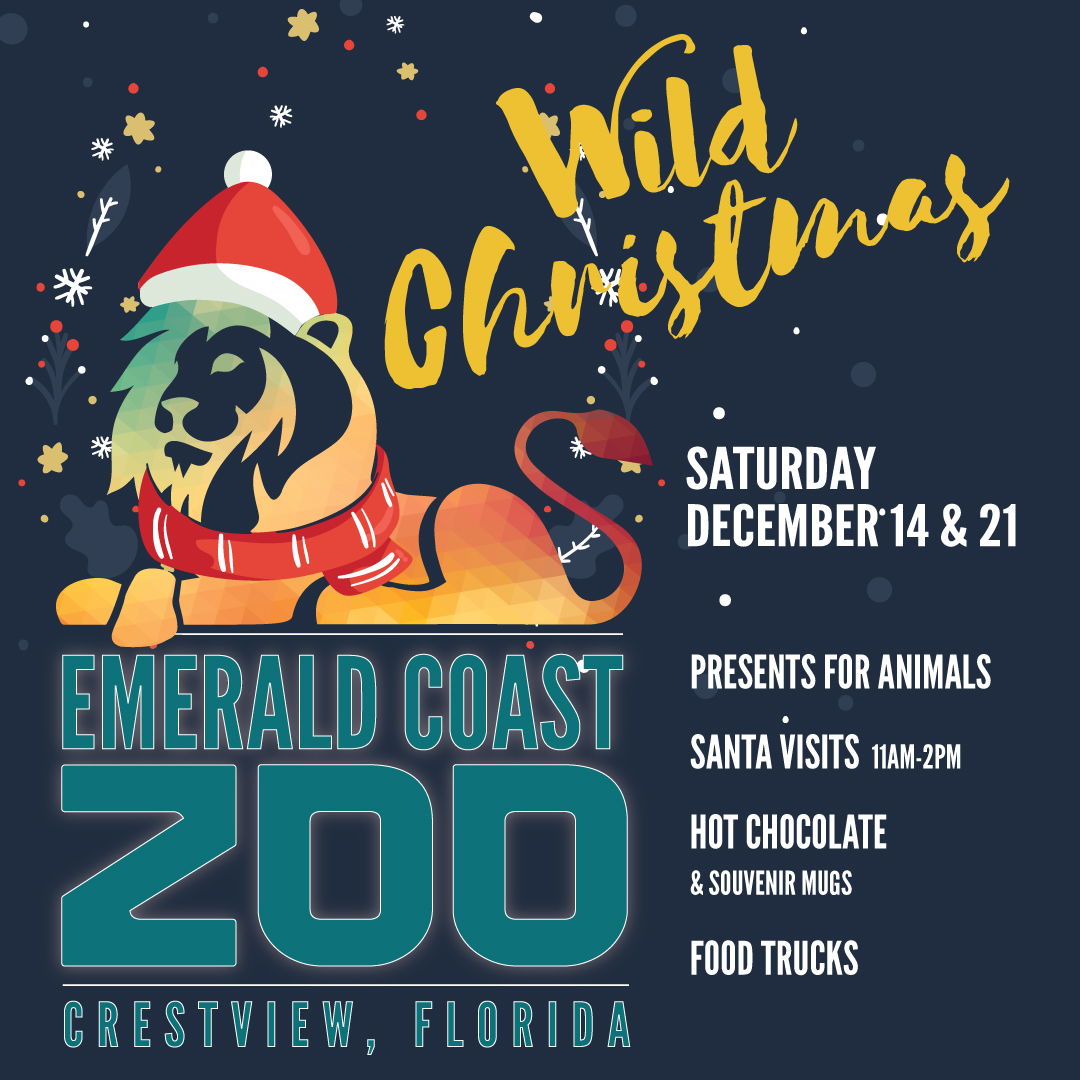 Zoo holiday event poster featuring a lion in a Santa hat. Text includes 